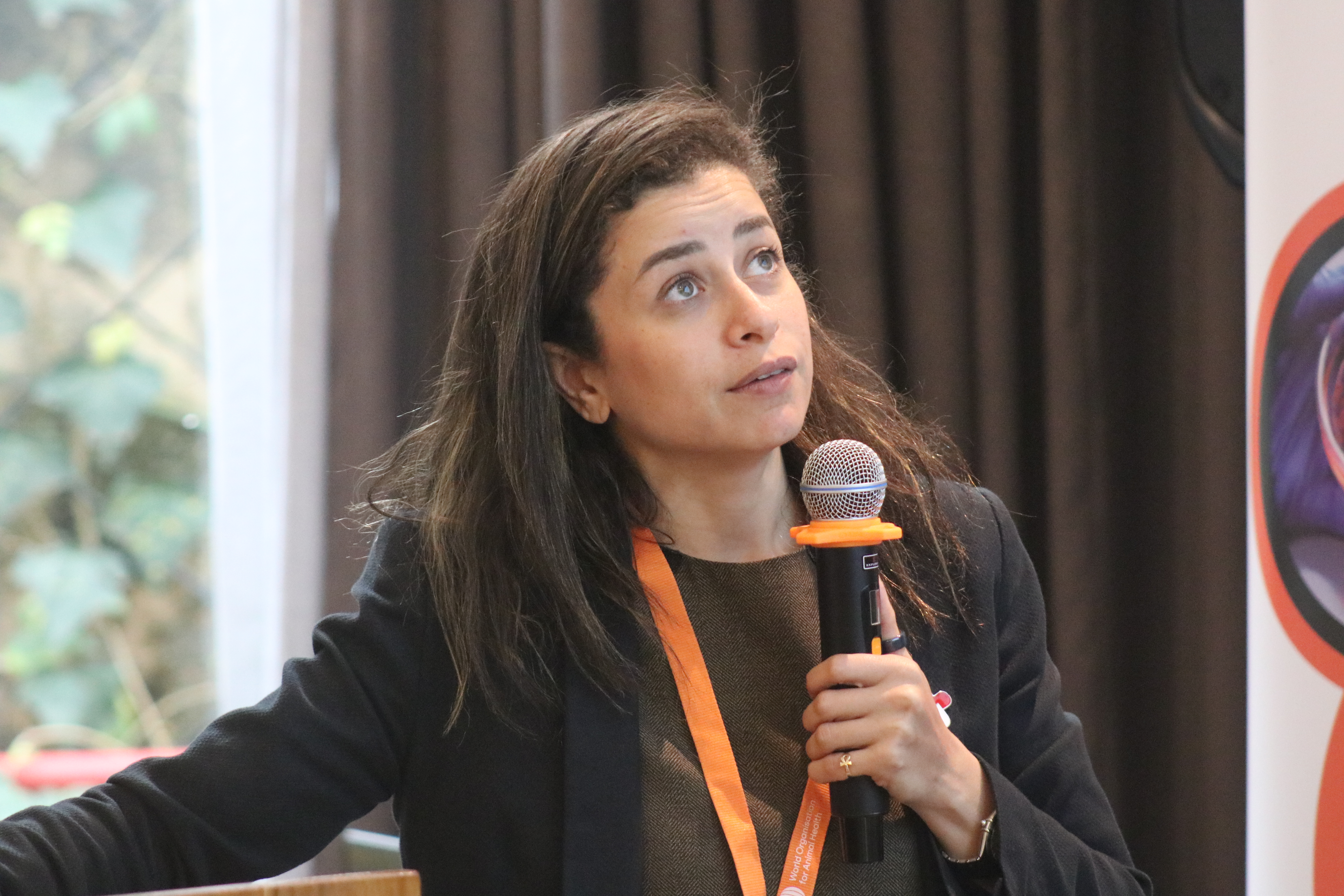 Hana Abdelsattar - OMSA - Cadre de compétences OMSA pour la RAM
