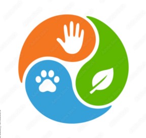 DAY3_11H00_OH_ABDELSATTAR