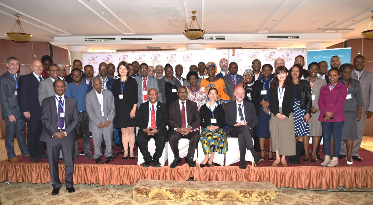 Group focal points veterinary products