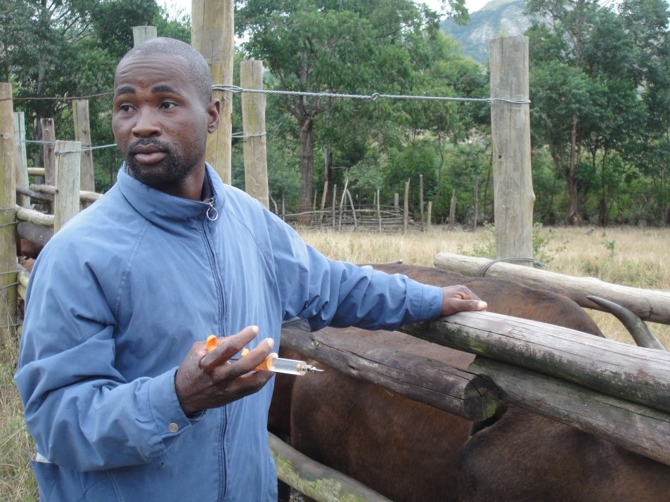 Diptank attendant in Swaziland (PVS Evaluation). Picture © P. Bastiaensen (oie) 2015