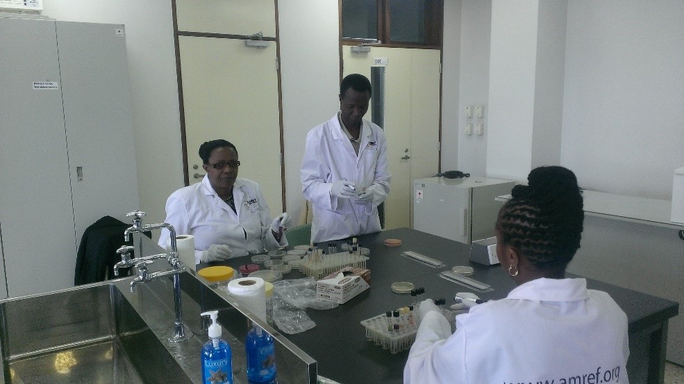 Picture © P. Bastiaensen (oie) 2014