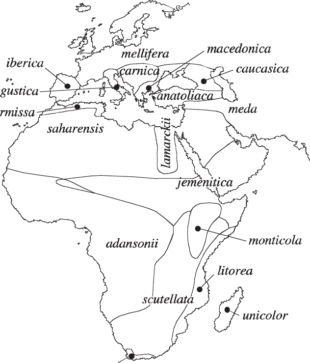 Autochthonous subspecies of A. mellifera. Data from Fuchs, 1998a,b.