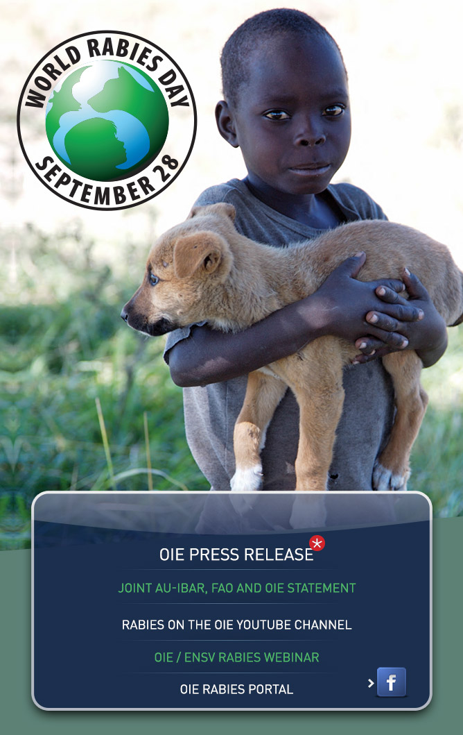 World Rabies Day WRD