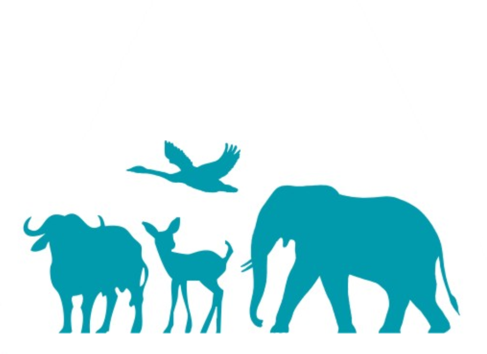 One World One Health