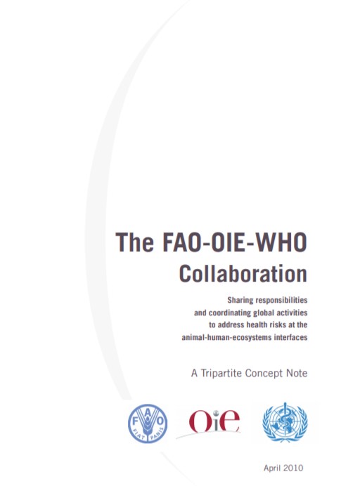 Cover Tripartite Hanoi 2010