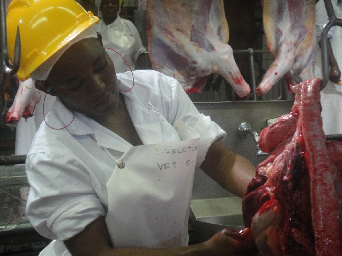 Information Seminar Delegates Botswana 2010 BMC