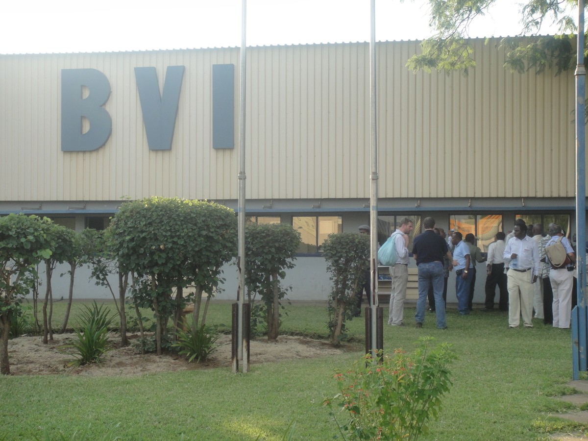 Information Seminar Delegates Botswana 2010 BVI