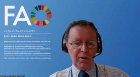 GF-TADs for Africa RSC-10 2021