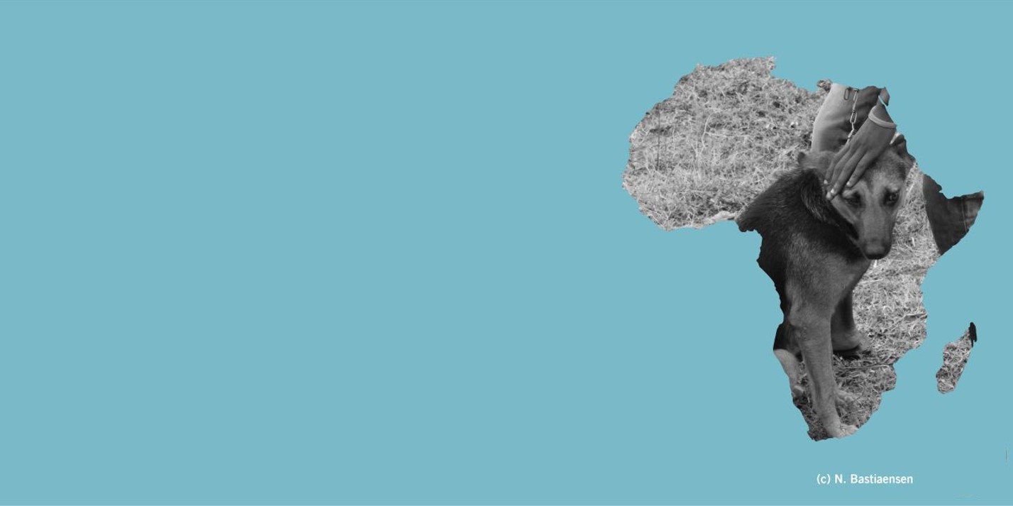 Header
