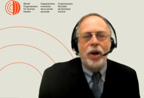 Sherman_OMSA Intro WFD Programme_Jan 24_EN