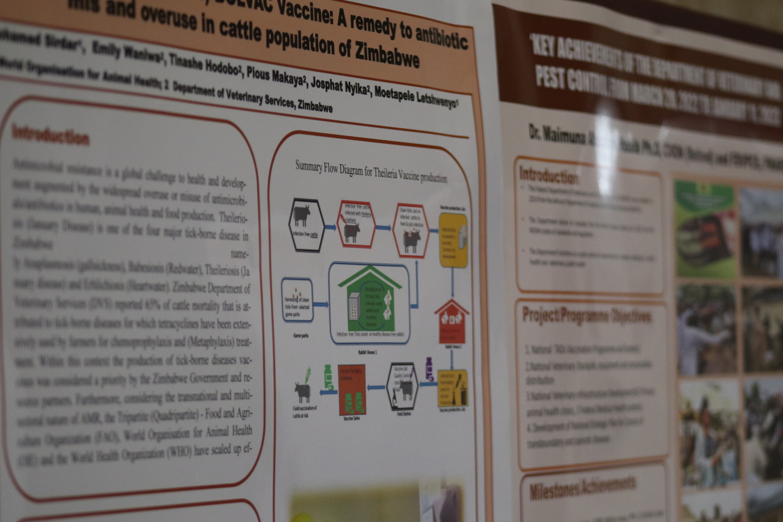 ARC - Hlokwe et al - TB
