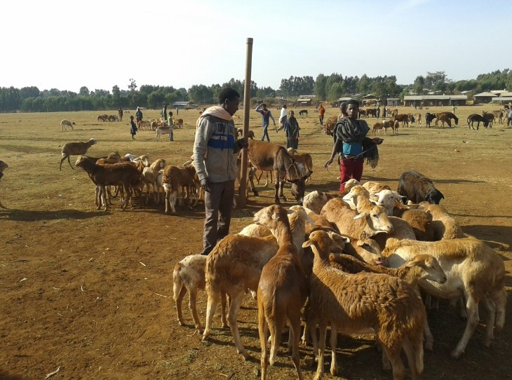 21. GBAD Session - Edna Kallon