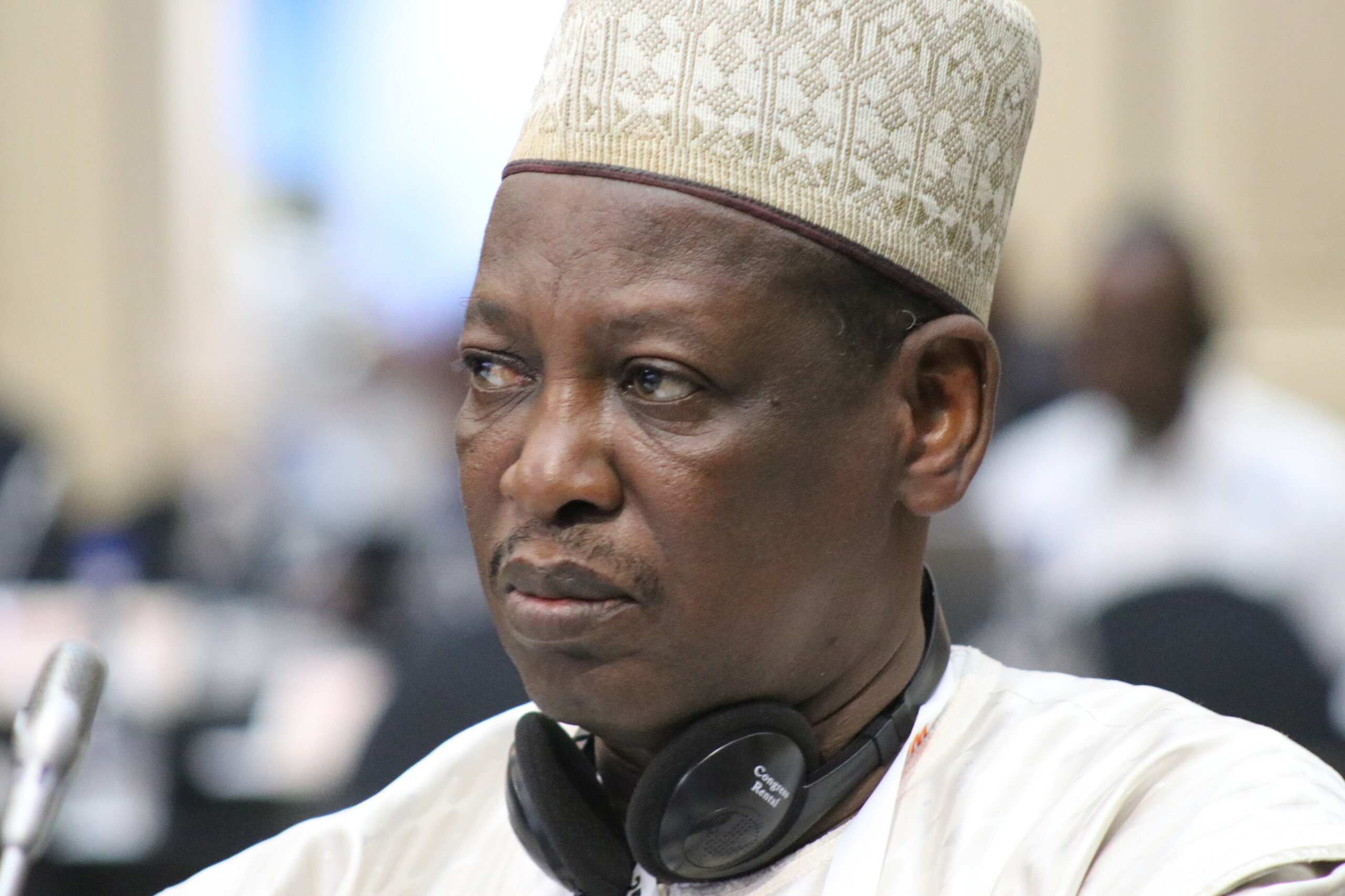 14. Cameroon (Gonne) In French / en Français