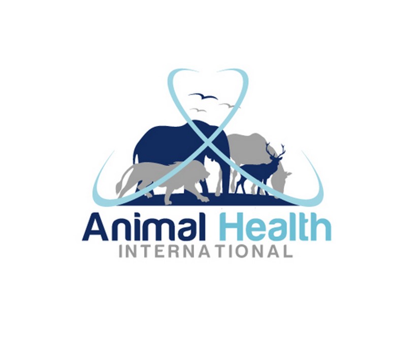 Rapport (GAHW) 2017 (en Anglais)