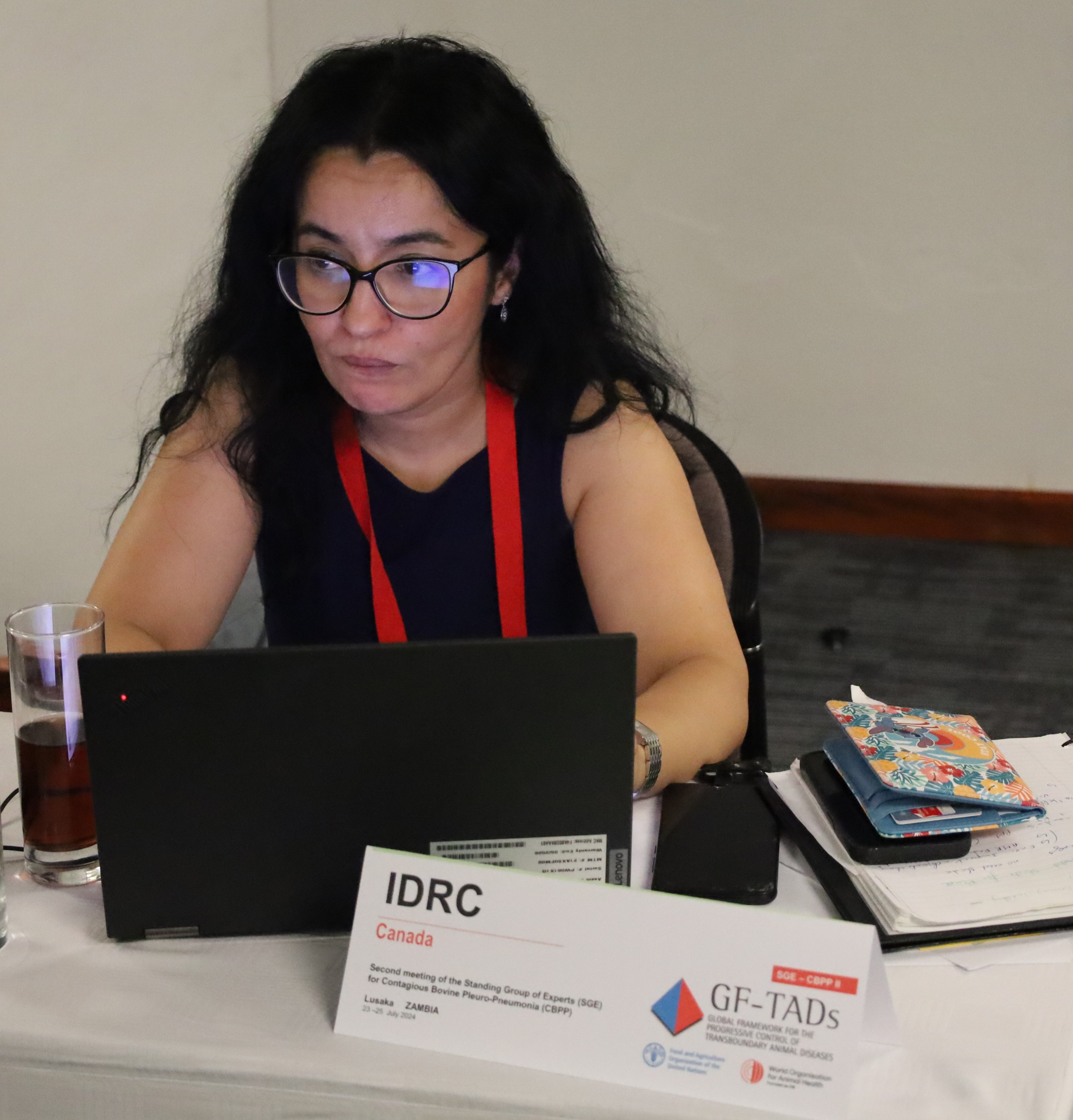 IDRC Canada - N. Safini - CBPP projects funding