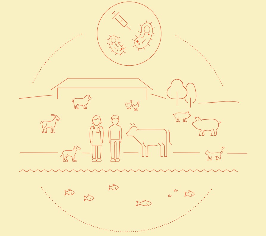 WOAH Strategy on Antimicrobial Resistance (en Anglais)