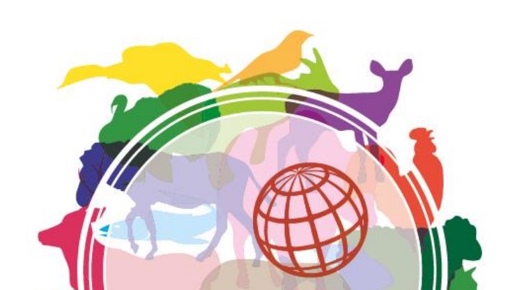 5th Annual report on the use of antimicrobial agents in animals – Better understanding of the global situation (April 2021) (English) (en Anglais)