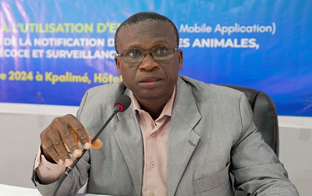 16. Togo (Akakpo) In French / en Français