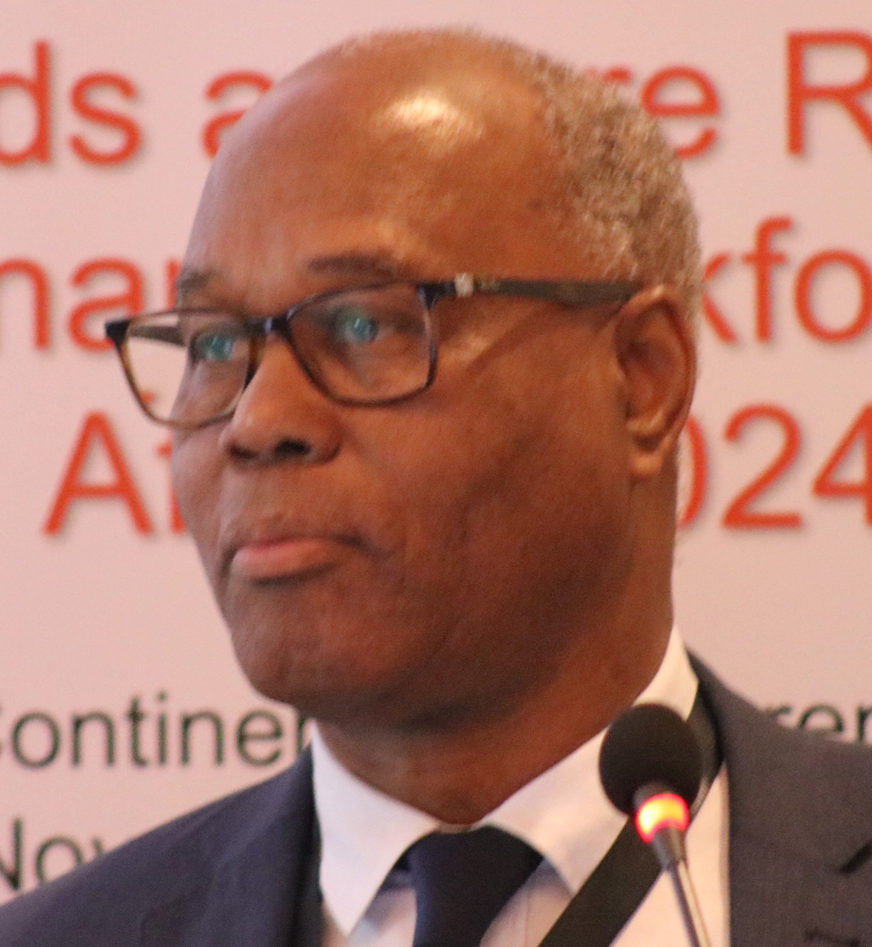 Regional Representative of the WOAH Regional Representation for Africa (RR/AF), Dr Karim Tounkara (in French, en Français)