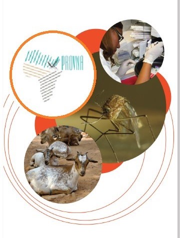 PROGRAMME Workshop PROVNA2 - Nov 2024_v2