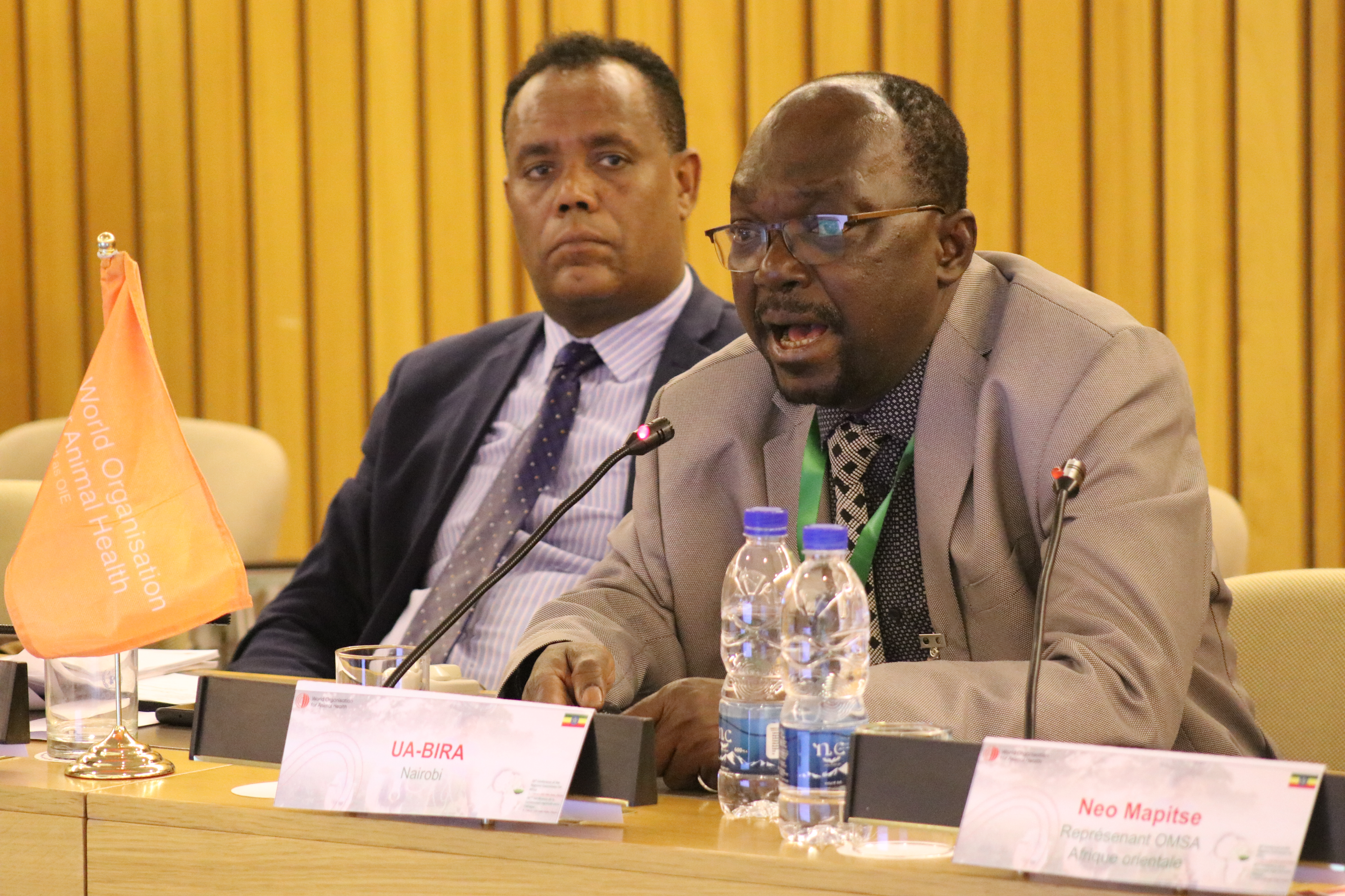 4. Boussini - AU-IBAR - Animal welfare