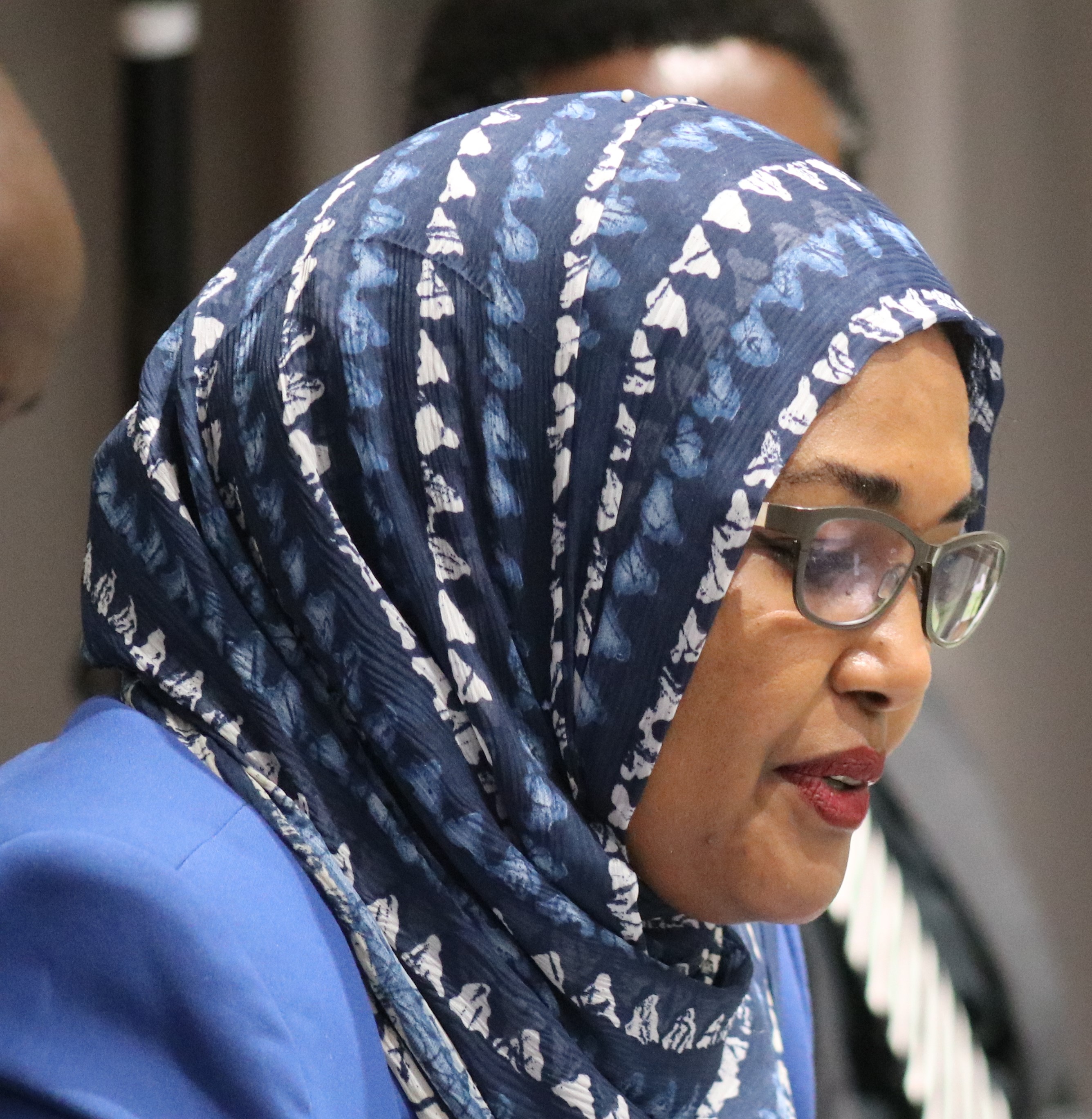 12. SALIH - AU-IBAR - PPR- presentation (EN)