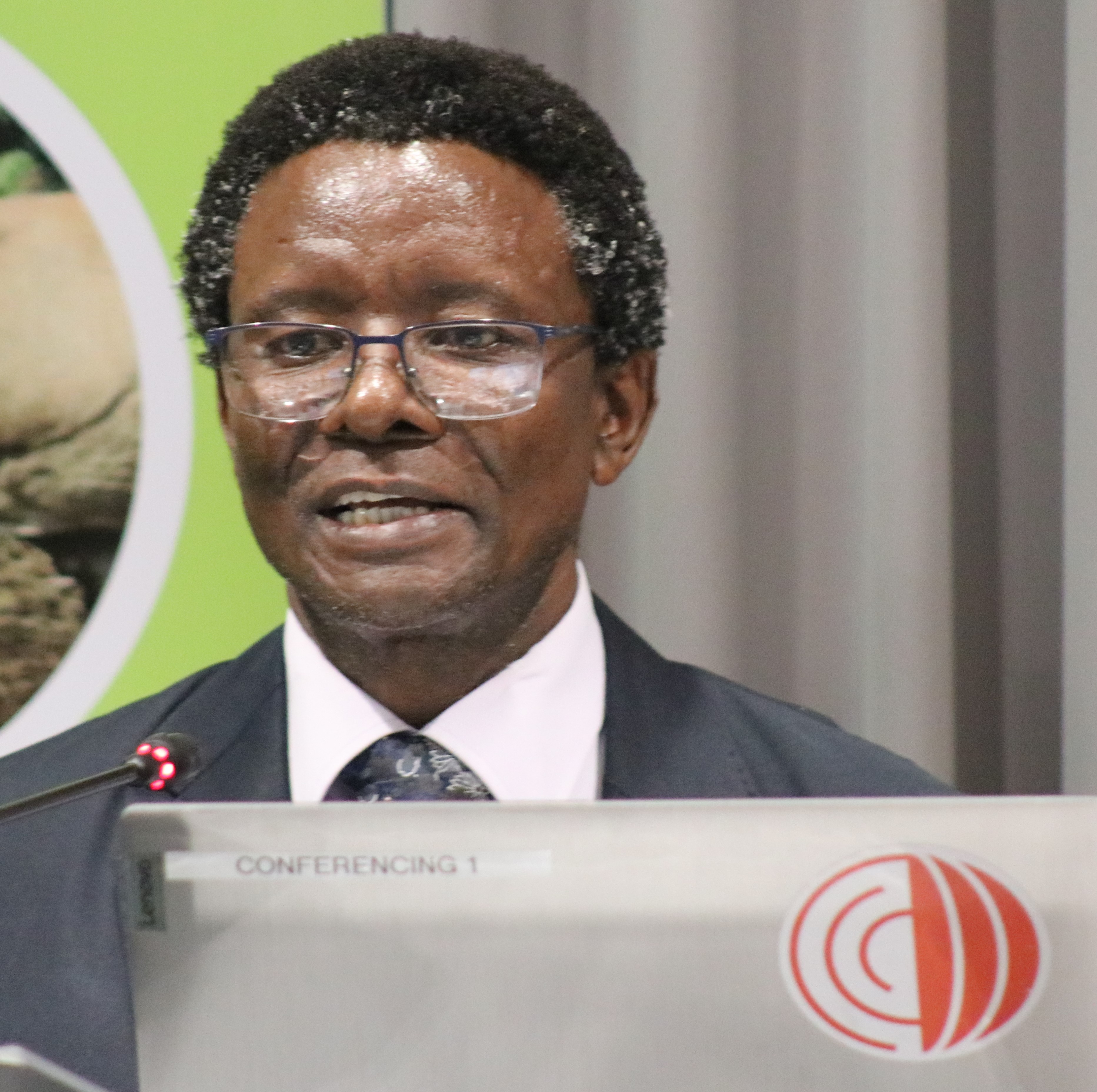 34. DLAMINI - Eswatini - AHS