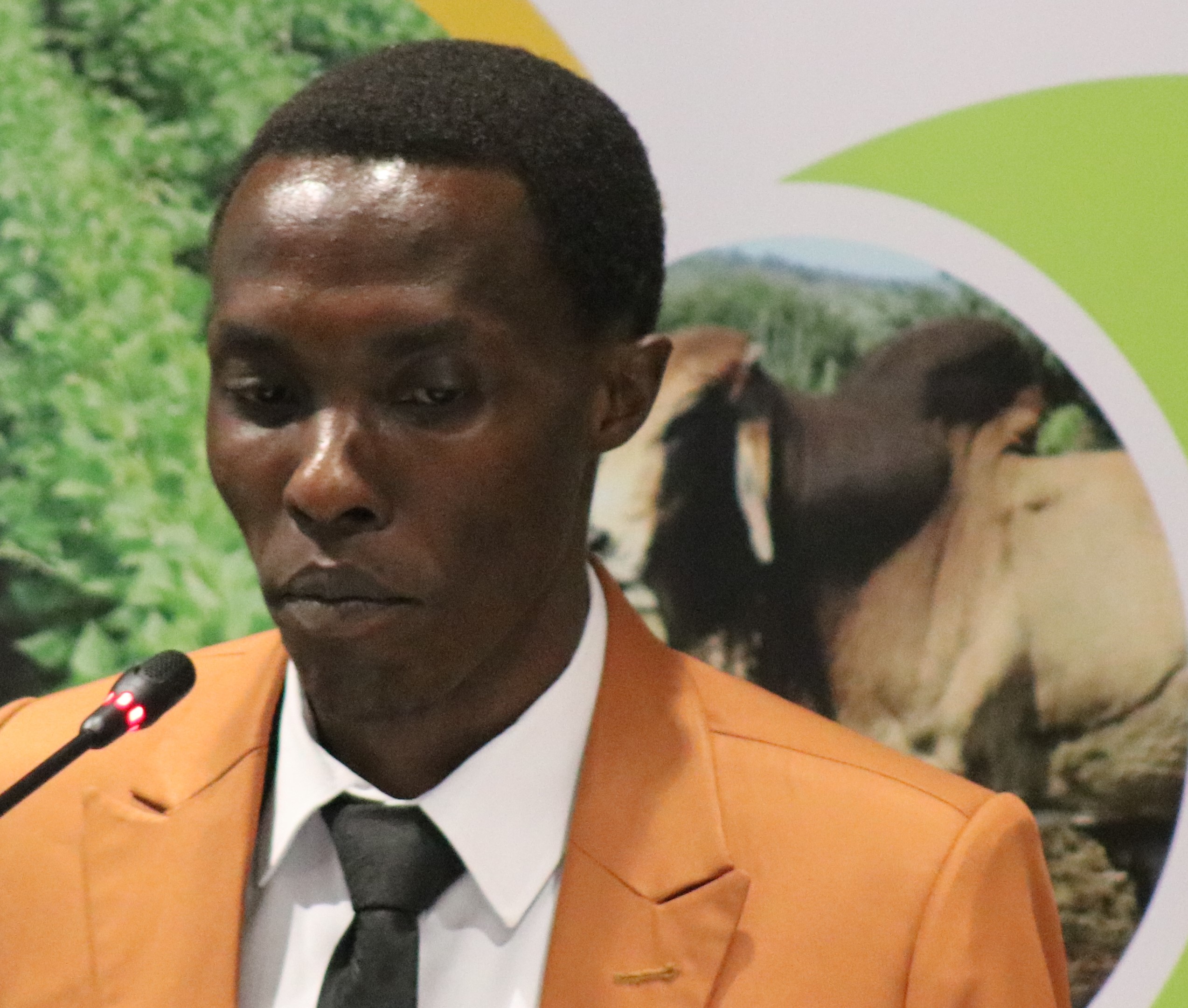 38. BIHANGAMAWANA - PAFO presentation