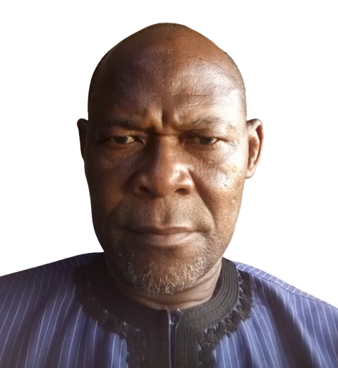 08. BIDA - Nigeria - Participatory surveillance