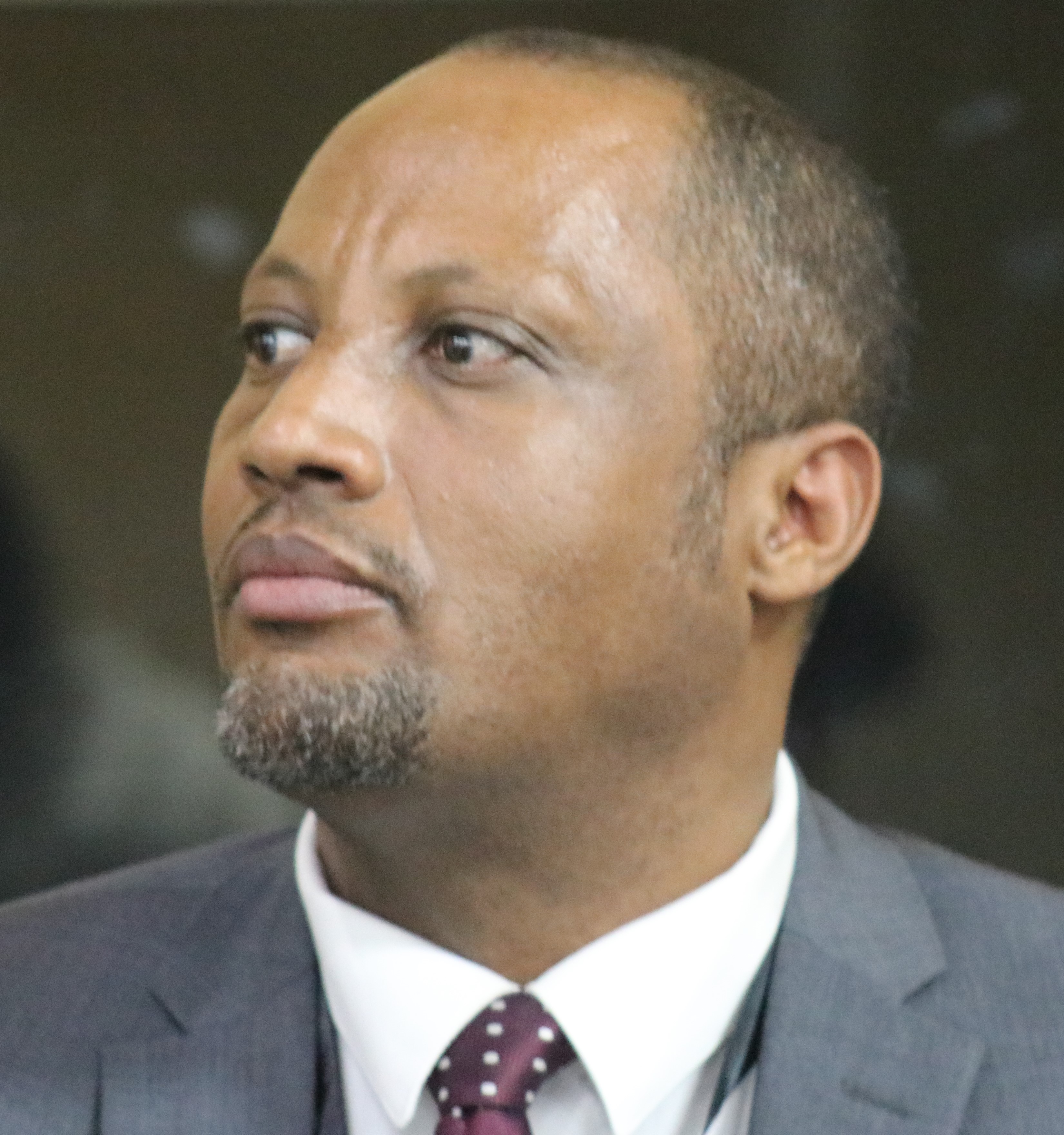 TEGEGNE - WOAH - Objectives of the training