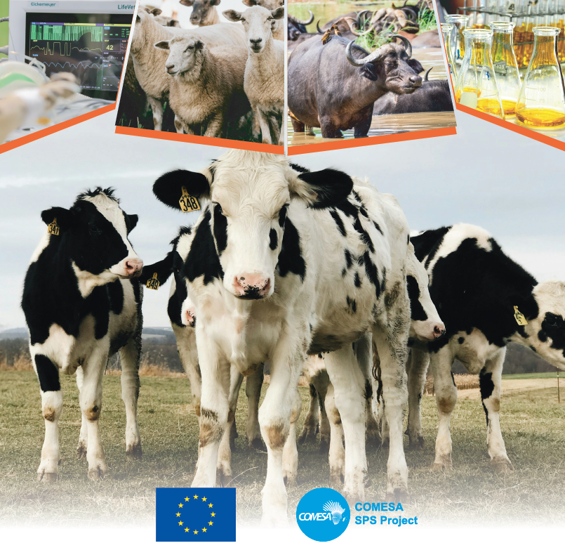 1. Chemis_Meeting Objectives & Agenda