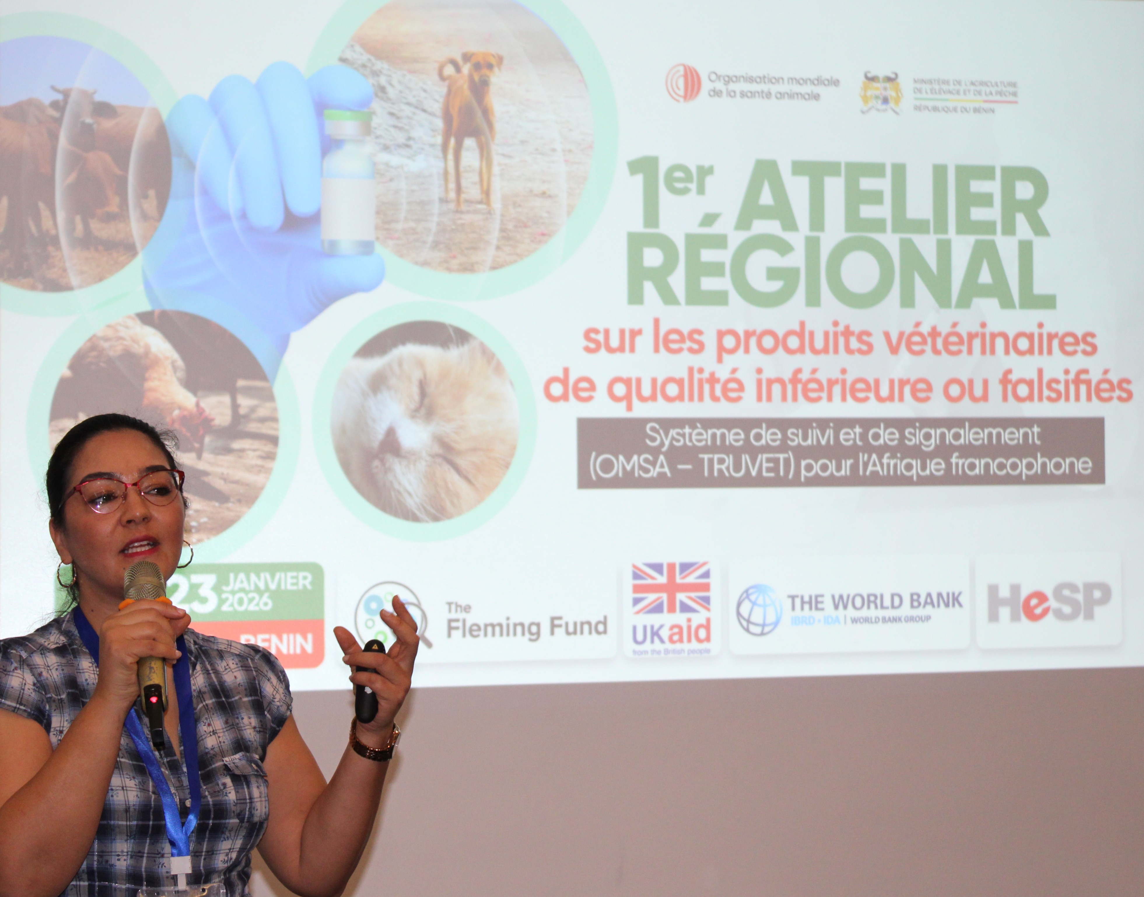 24. - N. Brik (OMSA)