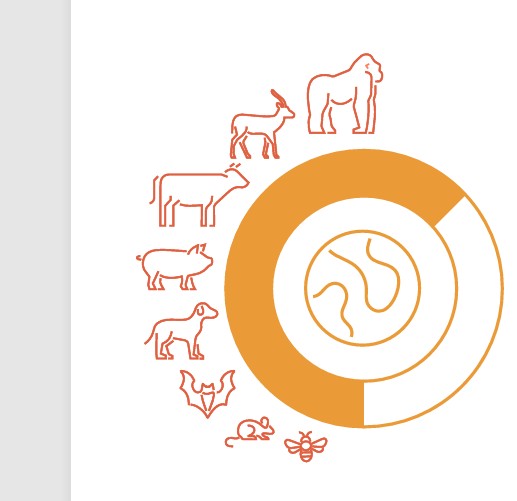 ENGLISH (Anglais, Ingles)