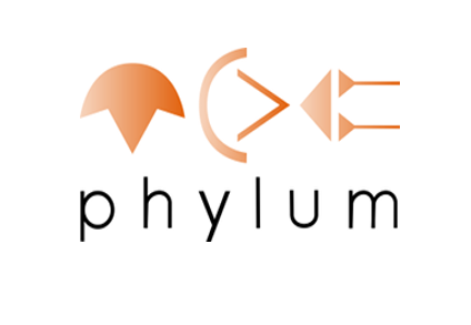 3.Phylum