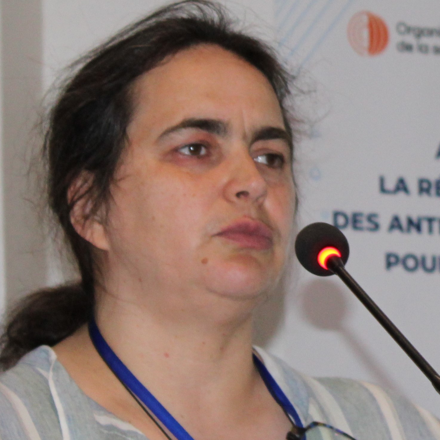 17. S. Baron - ANSES - Lacunes dans les connaissances et partage d’expérience en matière de surveillance de la RAM en Europe