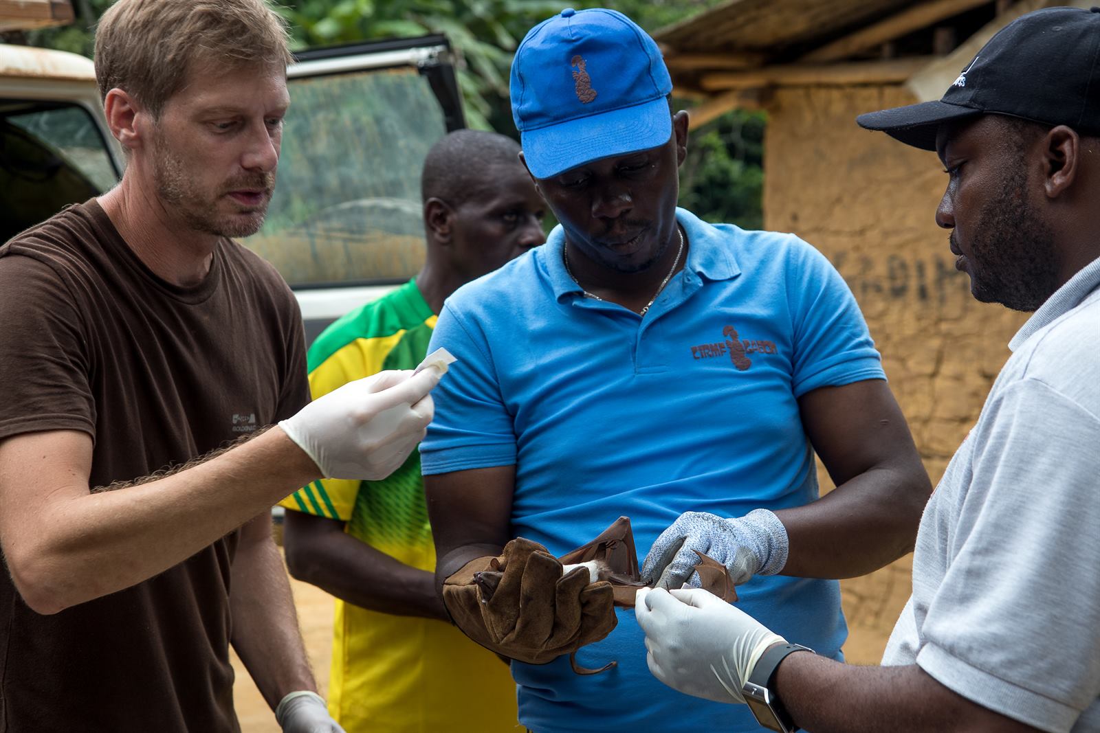 Community engagement and wildlife monitoring