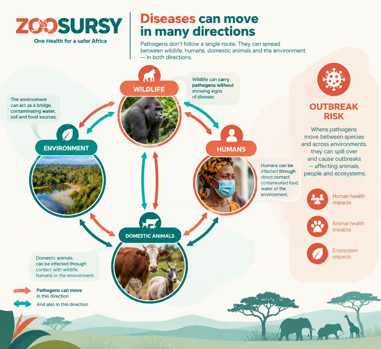 Diseases can move between wildlife, humans, domestic animals and the environment