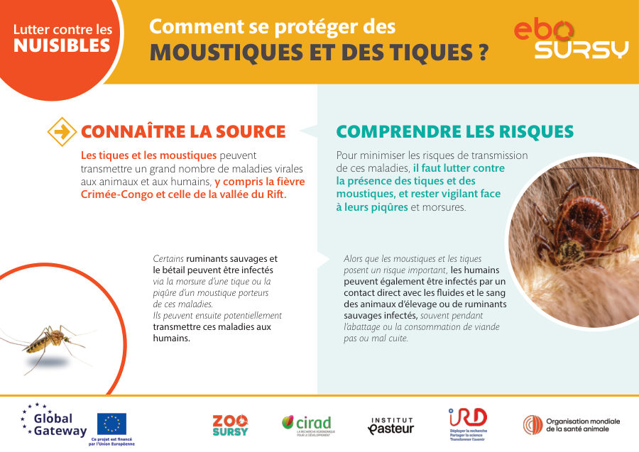 Lutter contre les nuisibles (orientation verticale)