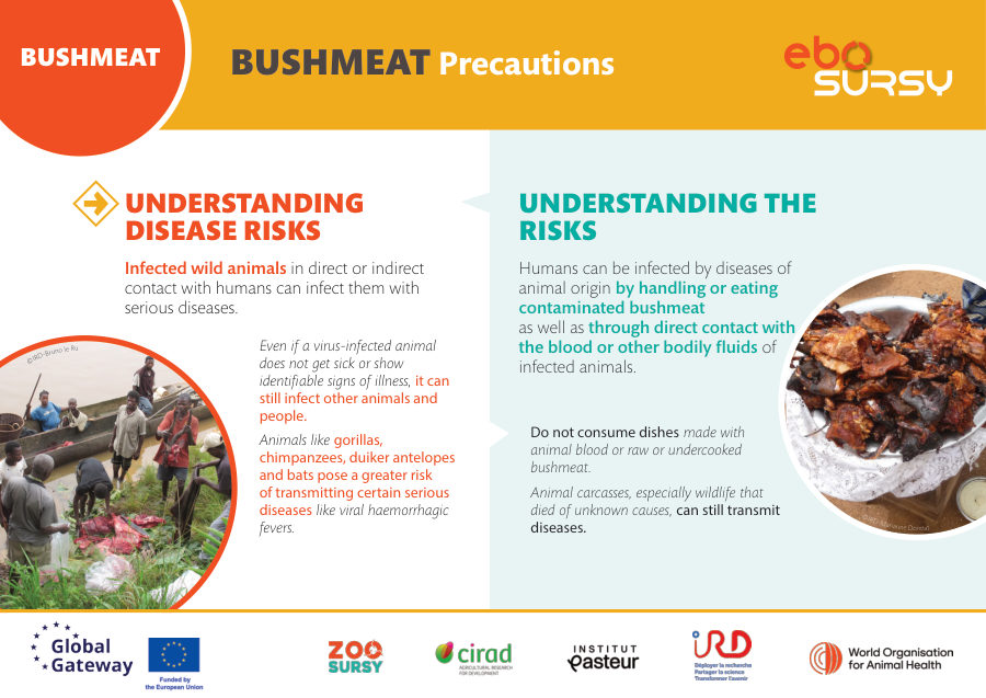 Bushmeat (vertical orientation)