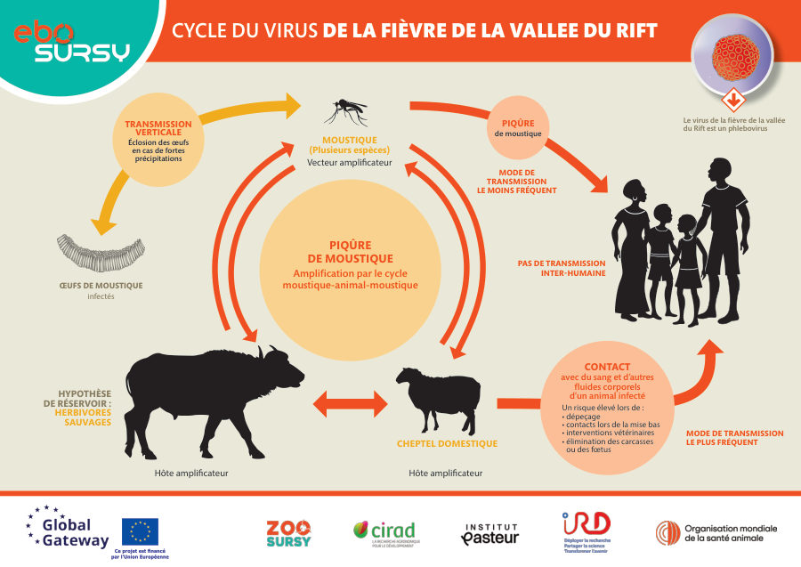 Fièvre de la vallée du Rift (Poster) Paysage