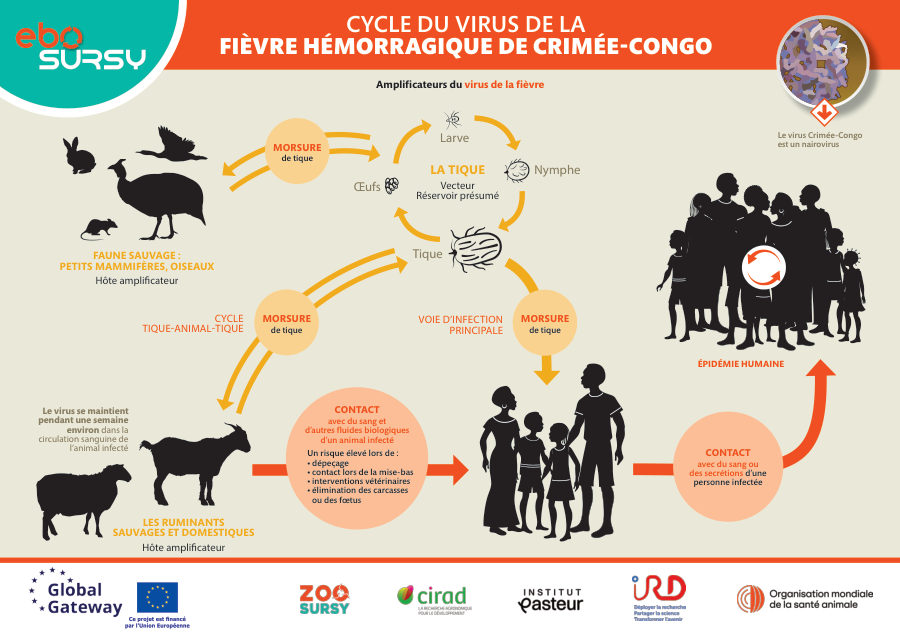 Fièvre hémorrhagique de Crimée - Congo (Poster) Paysage