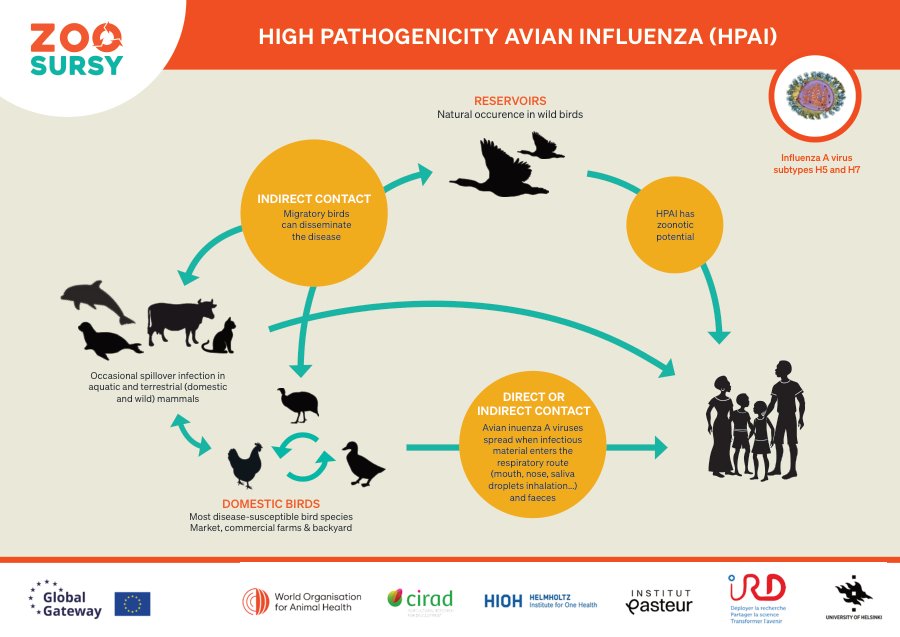 High Pathogenicity Avian Influenza (HPAI) Factsheet