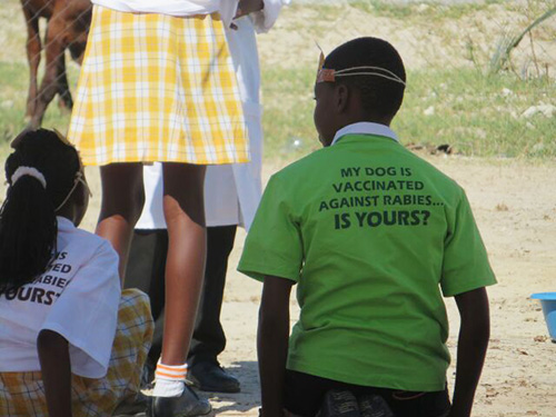 Namibia and OIE join forces to fight rabies at animal source - WOAH ...