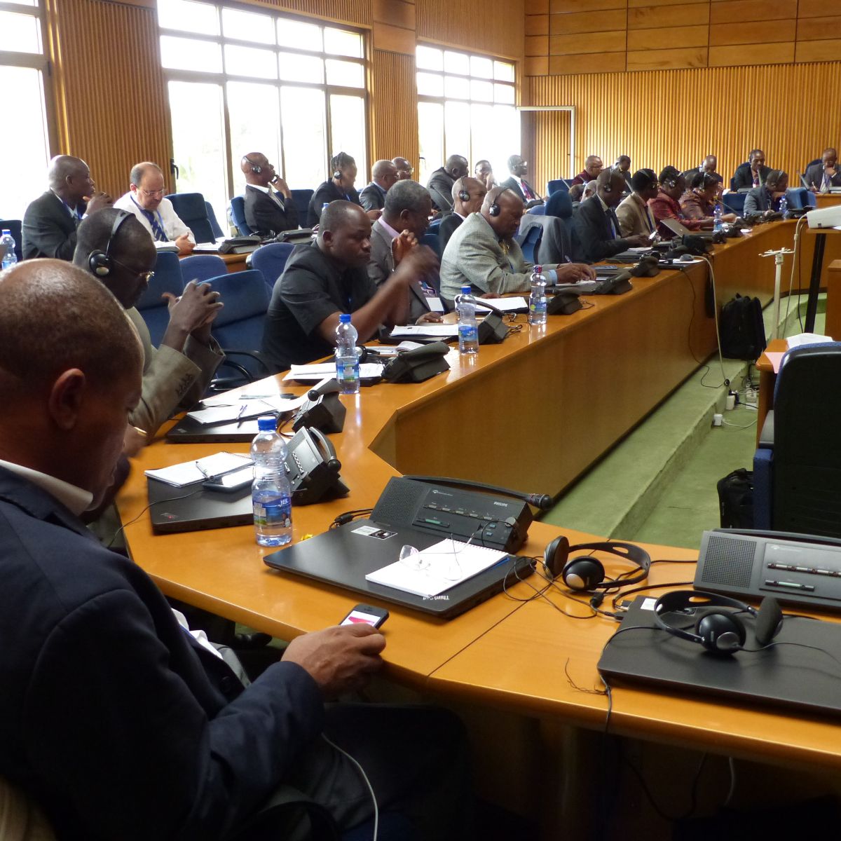 The EUfunded Strengthening Veterinary Governance in Africa (VETGOV