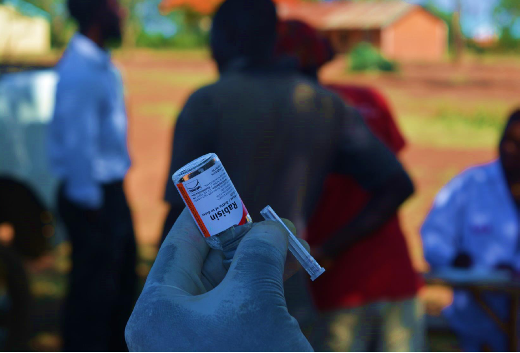 Pilot projects to support the elimination of dog mediated rabies - WOAH ...