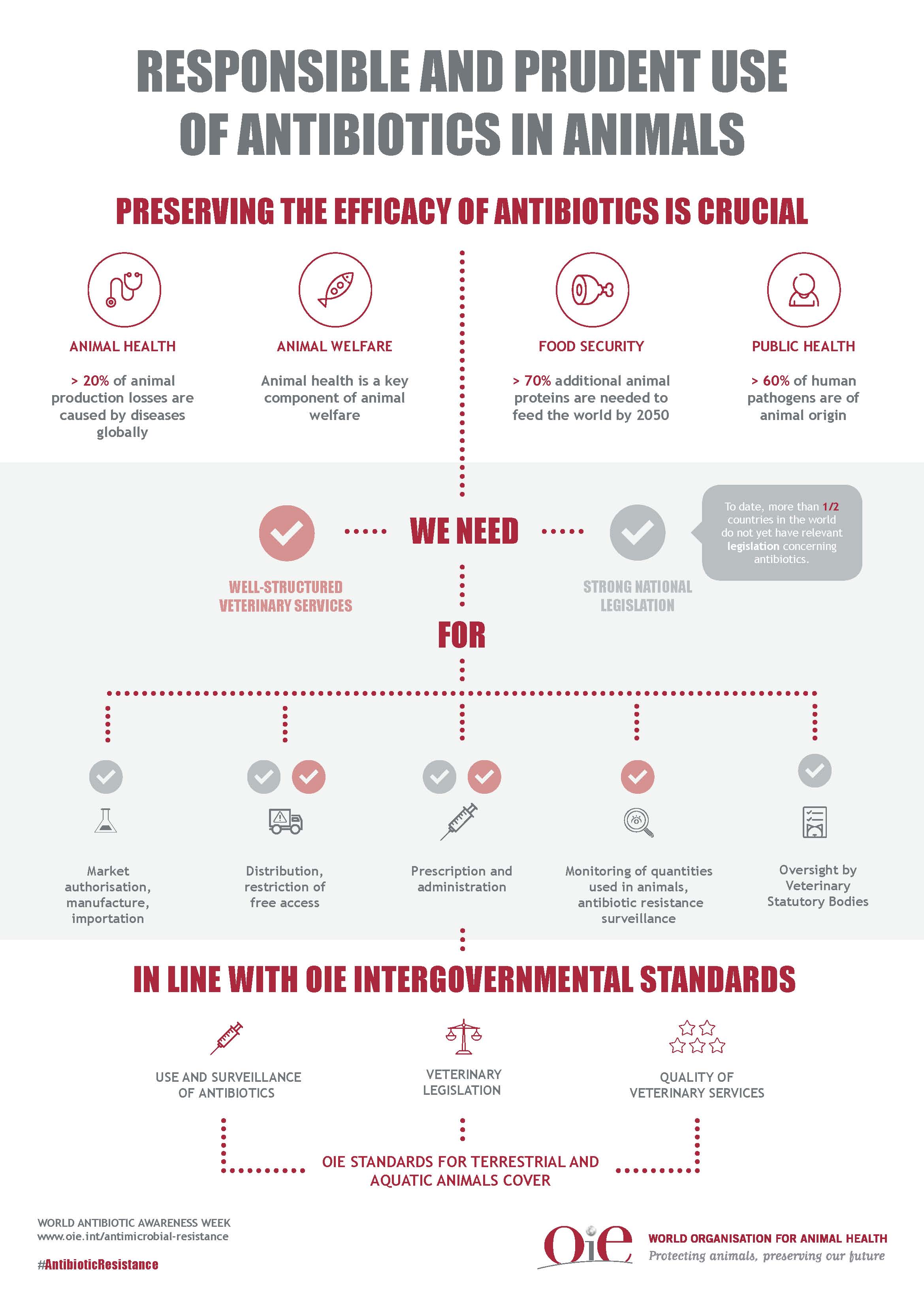 Infographic AMR