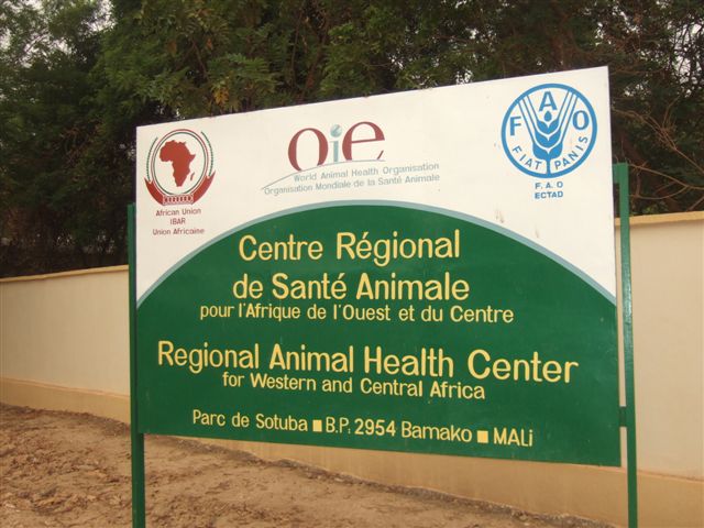 First Regional Animal Health Center (RAHC) established in Bamako - WOAH -  Africa