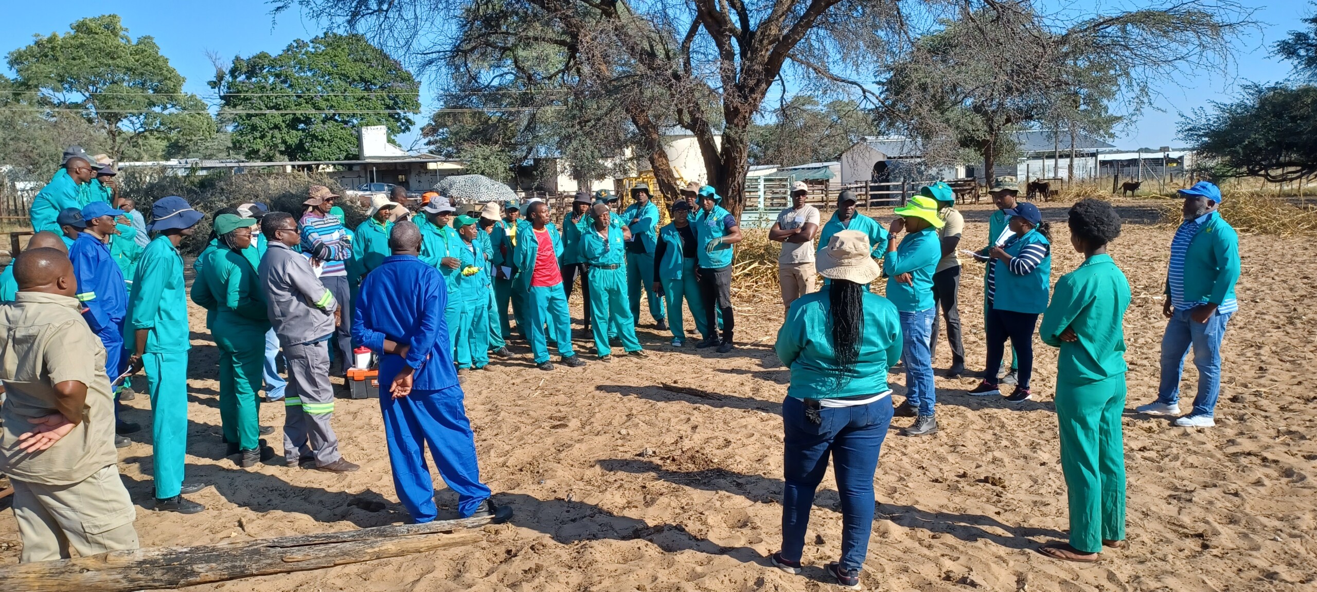 Veterinary paraprofessionals in Namibia trained in surveillance