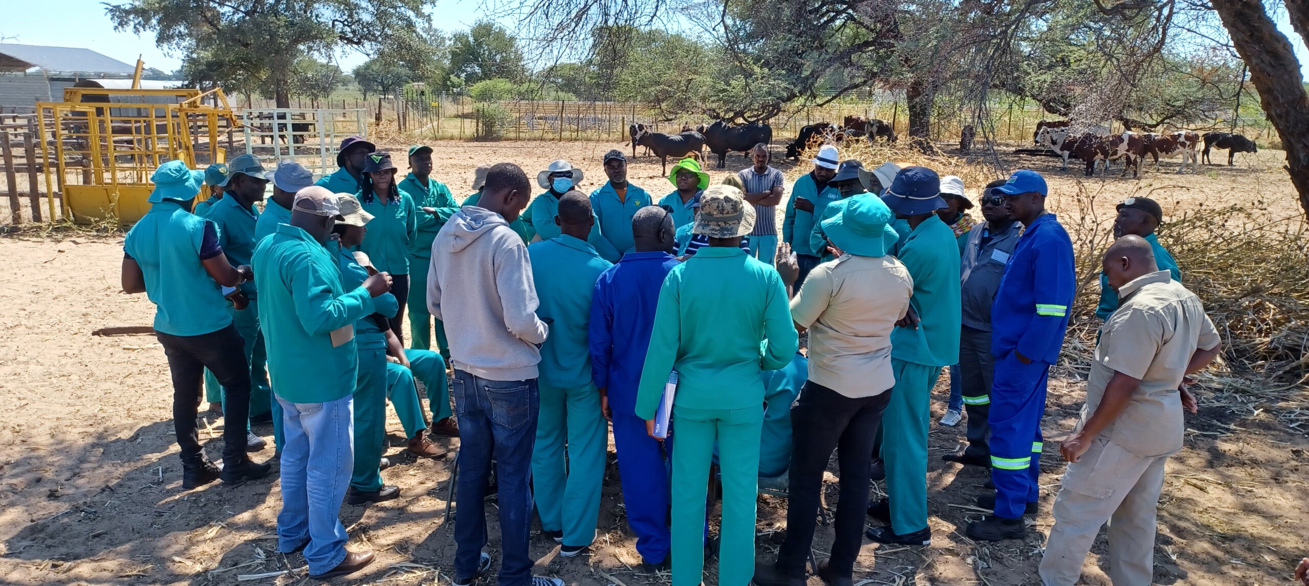 Veterinary para-professionals in Namibia trained in surveillance ...