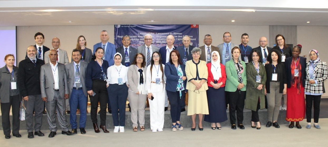 Launch of the Regional Aquatic Animal Health Network (North Africa ...